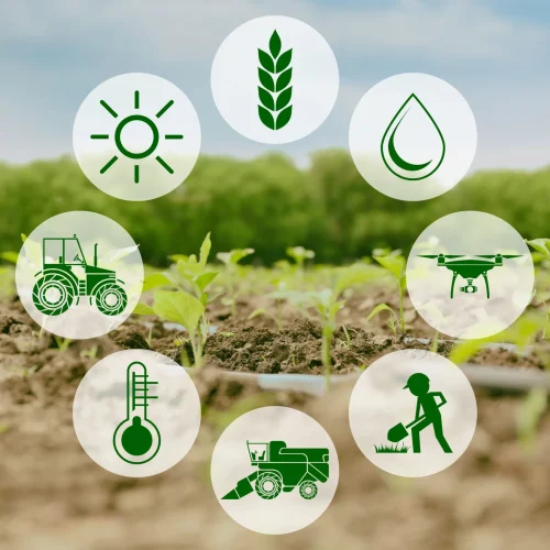 پتانسیل IoT در کشاورزی و صنایع غذایی